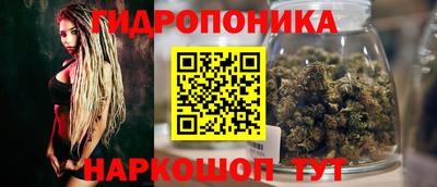 шишки Шахты