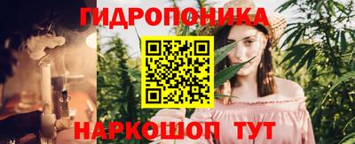 шишки Шахты