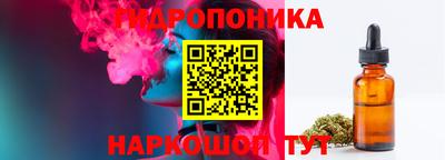 гашик Шелехов