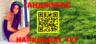 шишки Шахты