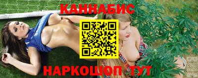 шишки Шахты