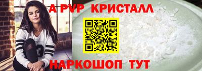гашик Шелехов