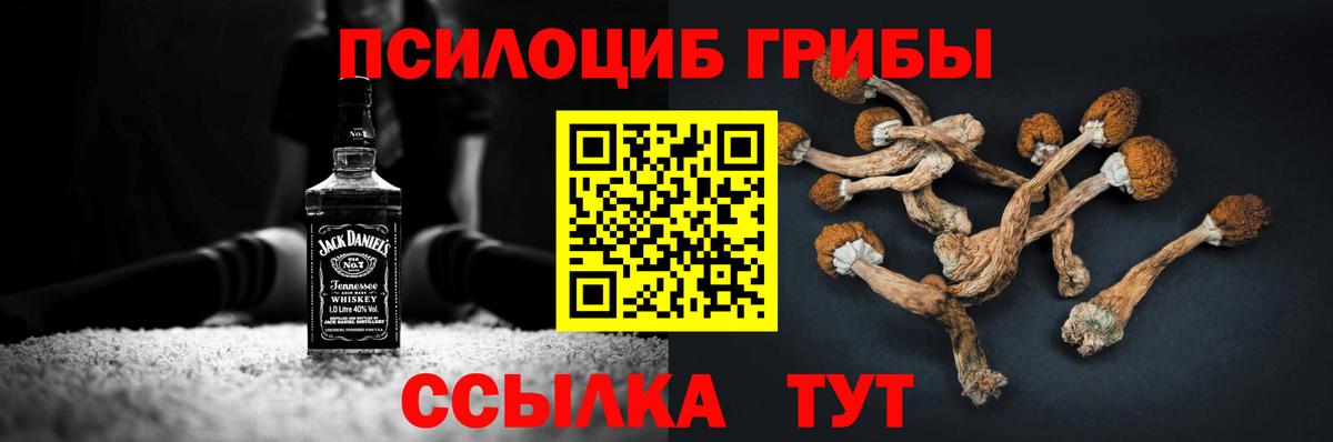 Галлюциногенные грибы GOLDEN TEACHER Нижний Тагил