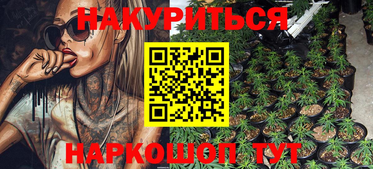 Бошки марихуана семена  Шишки марихуана Amnesia  Бошки Шишки индика  Нижний Тагил  Вход с VPN 